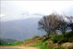 Hills of Palestine